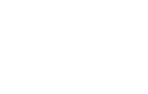 American Advertising Awards Logo